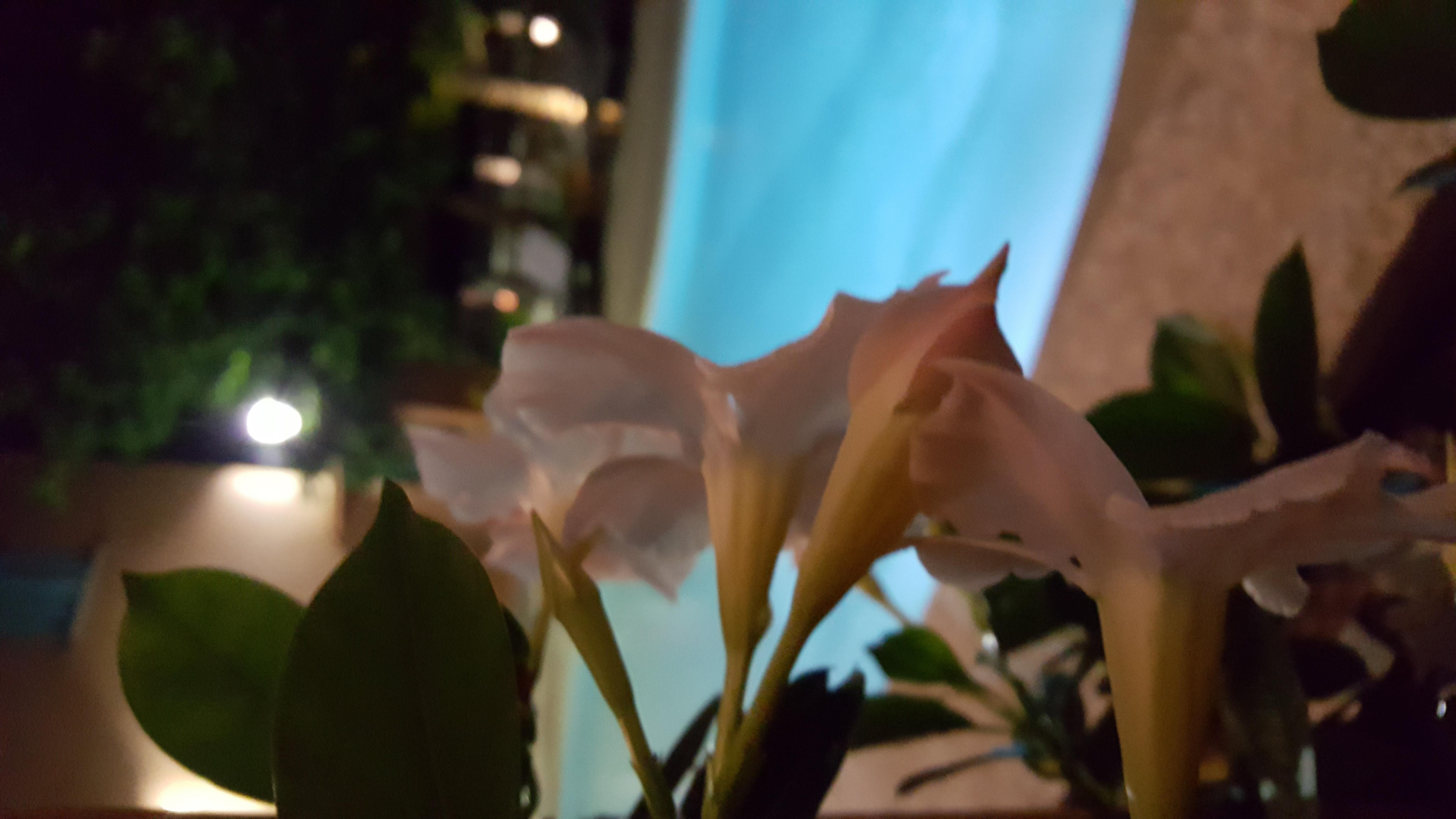Les Jardins De La Glaciere 코테 외부 사진